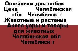 Ошейники для собак  › Цена ­ 300 - Челябинская обл., Челябинск г. Животные и растения » Аксесcуары и товары для животных   . Челябинская обл.,Челябинск г.